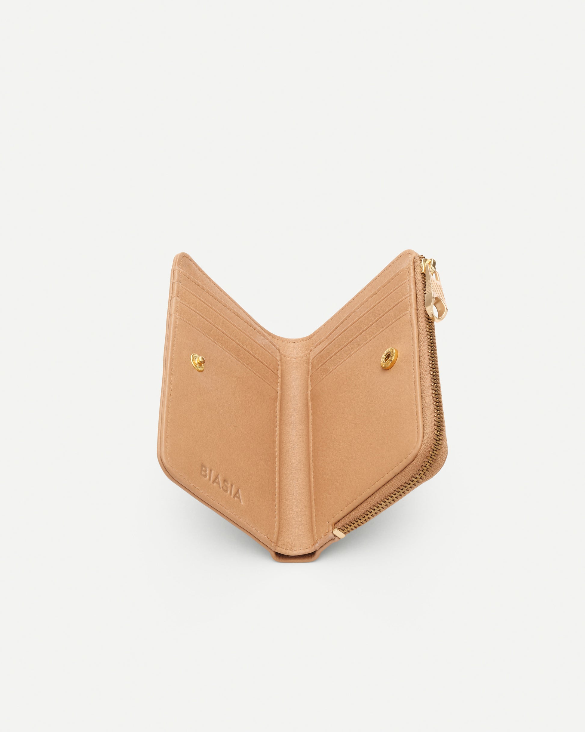 2a52ba6e26e550c59e15affa051e478b_CAMEL_BIPP9FF251_6_004